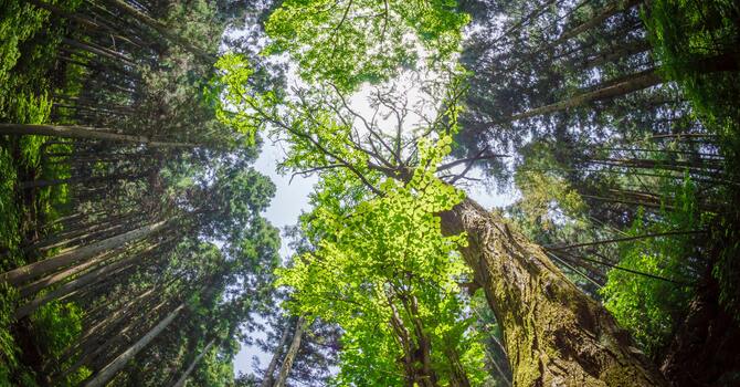 The Root Cause of Lonliness