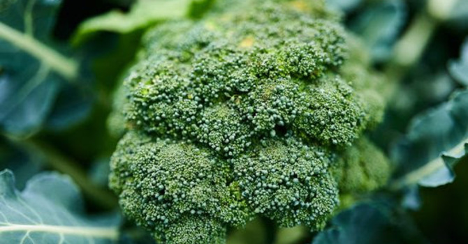 Let Food be Thy Medicine... image